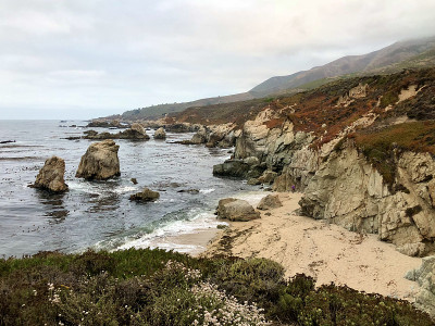 Garrapata