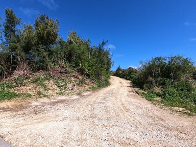 农场道路的景色
