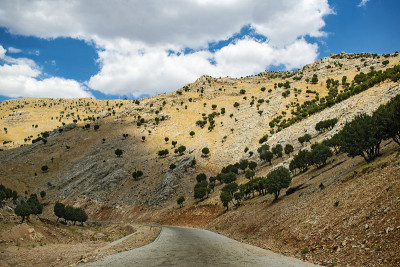 卡塔(Kahta)，土耳其:通往内姆鲁特山(Nemrut Dagi)顶峰的道路。公元前62年，安条奥