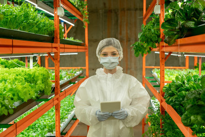 女温室工人穿着防护工作服，面罩，手套，眼镜和帽子