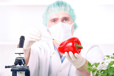转基因植物研究员