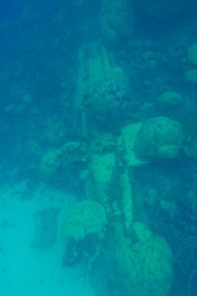 日本海军的飞机在二战时为零
