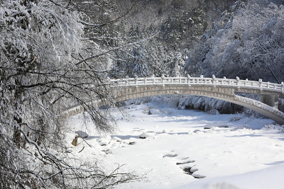 美丽的冬天的风景。雪山、树木和桥景(韩国江原道御田山国家公园)