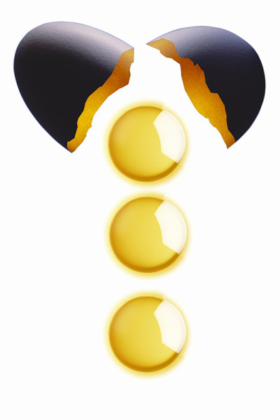 蛋