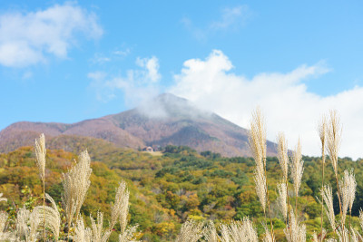 秋叶，日本福岛