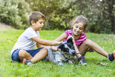 两个孩子在操场上和一只边境牧羊犬玩耍