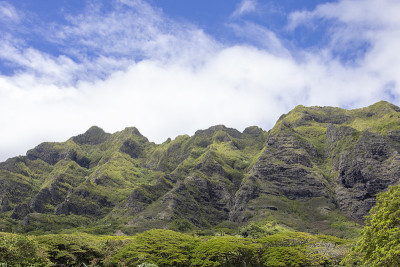山