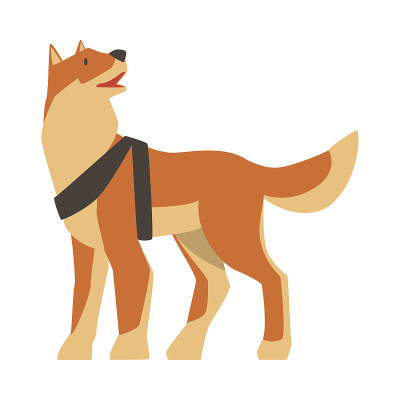 导盲犬，特别训练的辅助指导宠物狗卡通矢量插图