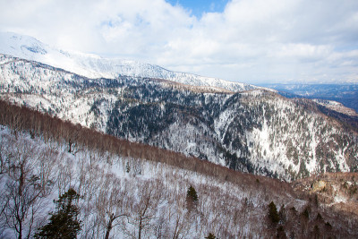 山坡与松树和多云的冬天在大屿山国家公园，美丽的山和森林在日本(山黑崎，Sounkyo)。