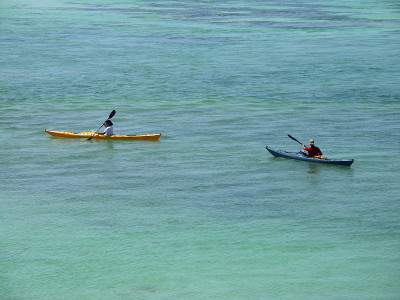 kayak对