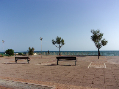 夏季景观