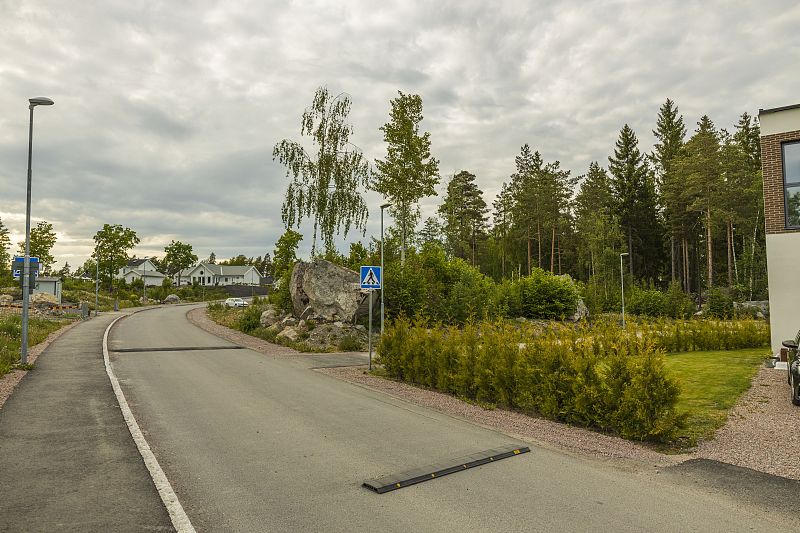 村庄街道道路上的减速带。景观背景。欧洲。瑞典。