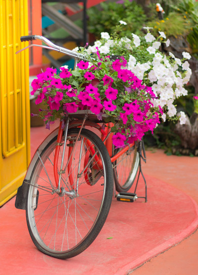花