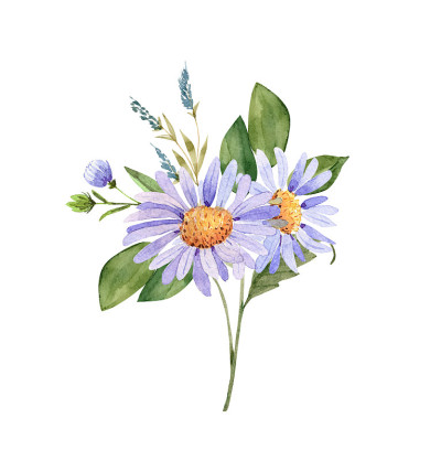 精致的紫色水彩花束，手绘