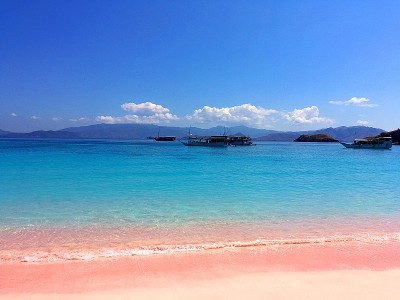 美丽的粉红色海滩和蓝色清澈的水来自科莫多岛(科莫多国家公园)，纳闽巴霍，弗洛雷斯，印度尼西亚