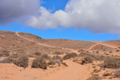 西班牙热带火山加那利群岛的景观