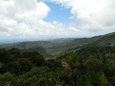 山景城