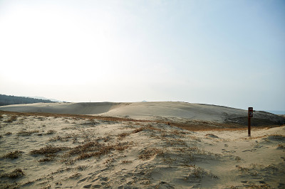 新都里海岸沙丘