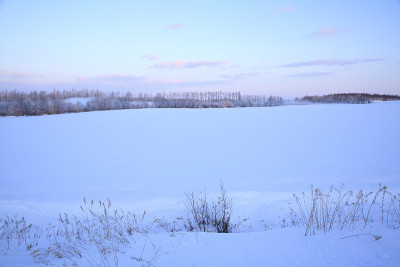 清晨的雪景