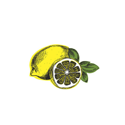 柠檬的草图。原始矢量插图。