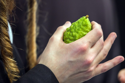 有副业的宗教犹太人选择etrog