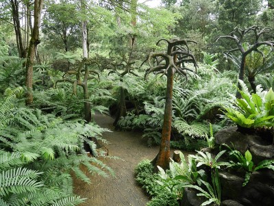 树和植物