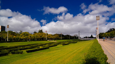 全景