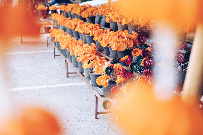 花烛，用来供奉佛祖功德