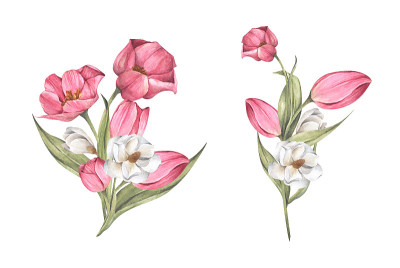 一束郁金香和木兰。花组成。水彩插图。