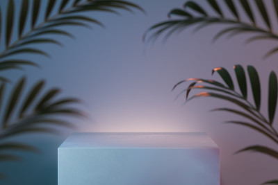 展示热带植物的照明抽象背景。3 d渲染。
