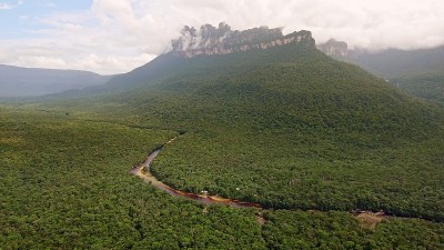 楚润河鸟瞰图。委内瑞拉，卡纳马国家公园