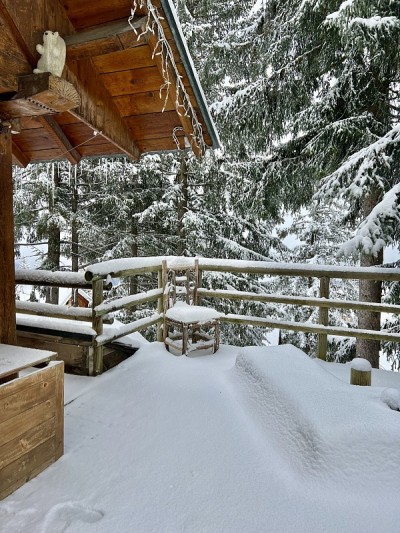 冬天被雪覆盖的小屋的门廊