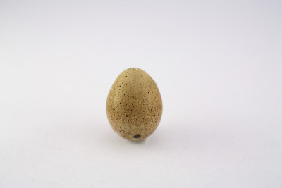 烹饪:鹌鹑蛋