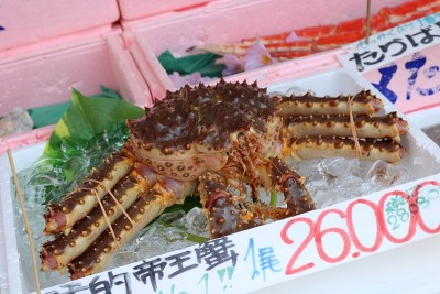 塔拉crab