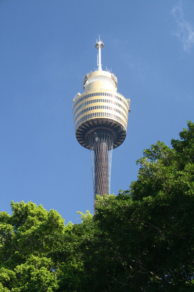 悉尼塔