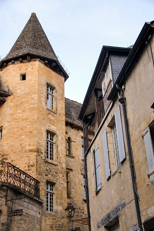 狗狗Sarlat