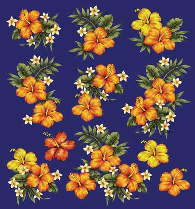 芙蓉花