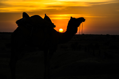日落在萨姆沙丘的黄金城市Jaisalmer，一个理想的诱惑旅游爱好者