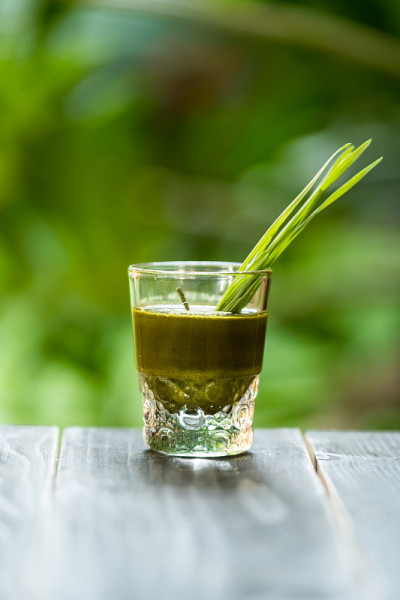 小麦草汁