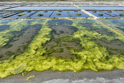威Saline-Portugal