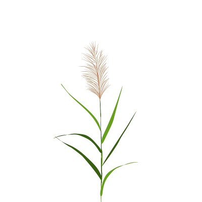 打印
