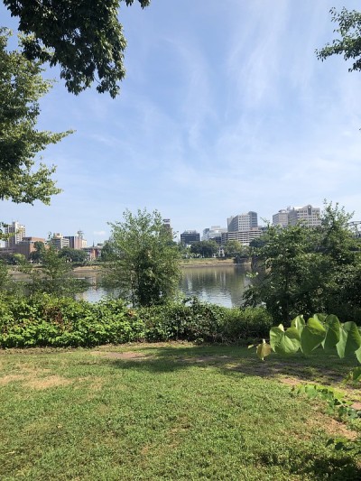 哈里斯堡市