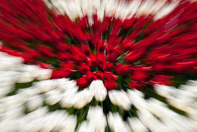 花。