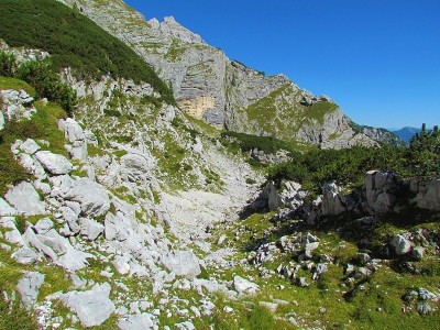高山景观