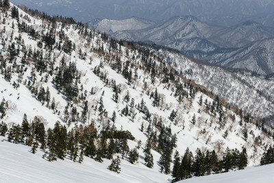 春天，山头露出水面