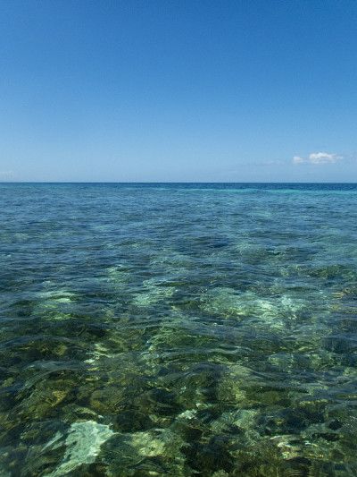 浅热带水