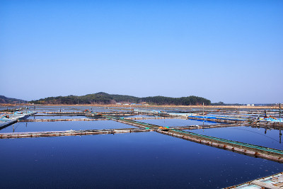盐池