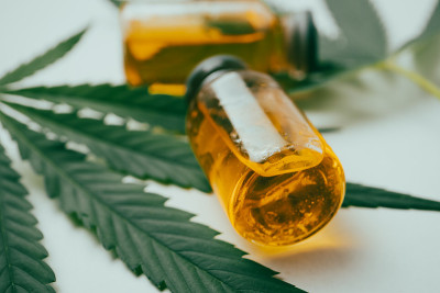 大麻油在小瓶与绿色叶子在白色的背景。替代医学概念。