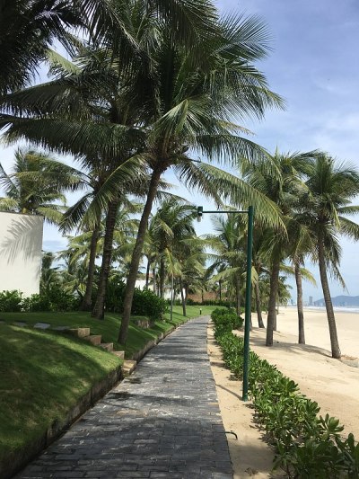 纳纳格的新海滩。美丽海洋。