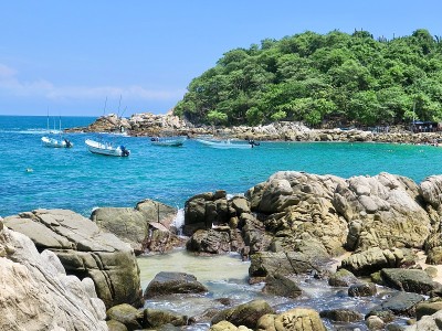 威尔夫太平洋海岸